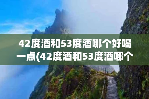 42度酒和53度酒哪个好喝一点(42度酒和53度酒哪个好喝一点一点的)