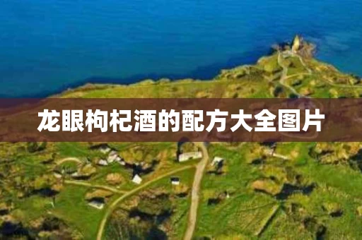 龙眼枸杞酒的配方大全图片