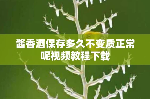 酱香酒保存多久不变质正常呢视频教程下载