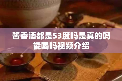 酱香酒都是53度吗是真的吗能喝吗视频介绍