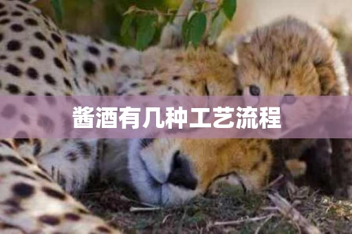 酱酒有几种工艺流程