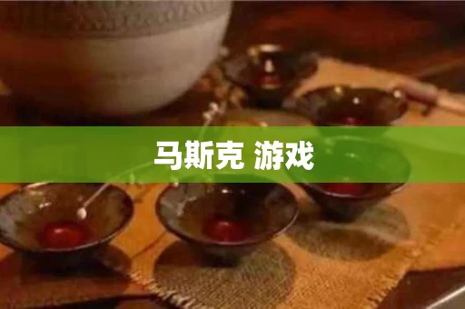 马斯克 游戏