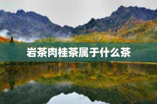 岩茶肉桂茶属于什么茶