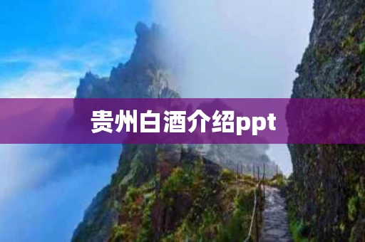 贵州白酒介绍ppt 贵州白酒介绍ppt