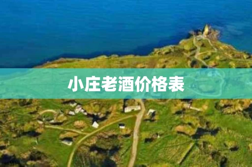 小庄老酒价格表