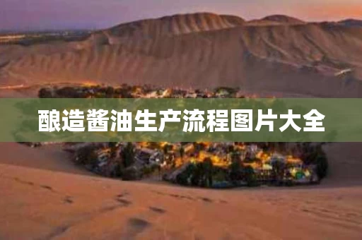 酿造酱油生产流程图片大全