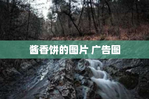 酱香饼的图片 广告图