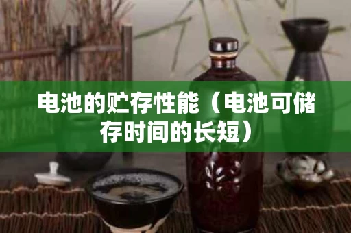 电池的贮存性能（电池可储存时间的长短）