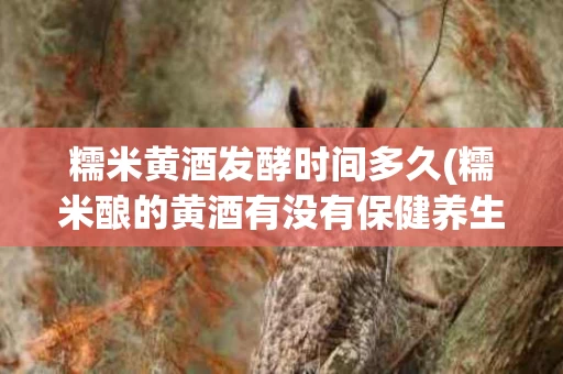 糯米黄酒发酵时间多久(糯米酿的黄酒有没有保健养生的功效)