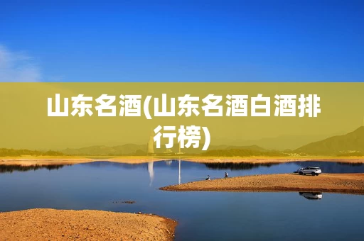 山东名酒(山东名酒白酒排行榜)