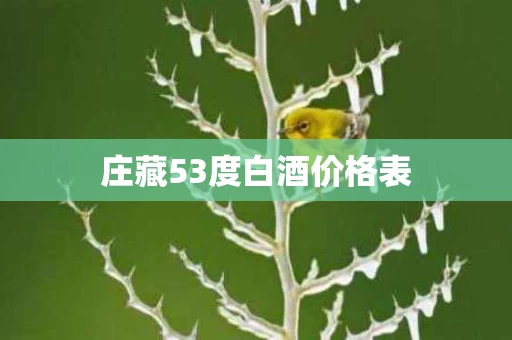庄藏53度白酒价格表