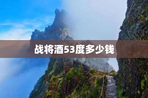战将酒53度多少钱