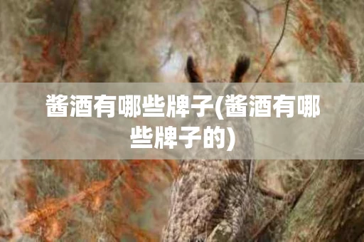 酱酒有哪些牌子(酱酒有哪些牌子的)