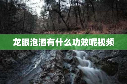 龙眼泡酒有什么功效呢视频