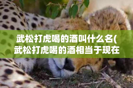 武松打虎喝的酒叫什么名(武松打虎喝的酒相当于现在多少酒)