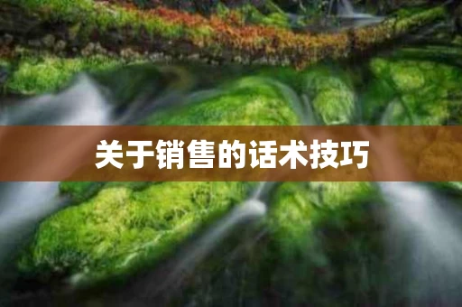 关于销售的话术技巧