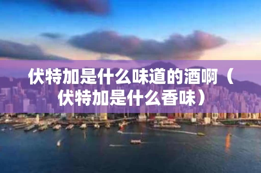 伏特加是什么味道的酒啊（伏特加是什么香味）
