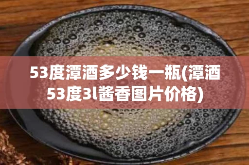 53度潭酒多少钱一瓶(潭酒53度3l酱香图片价格)