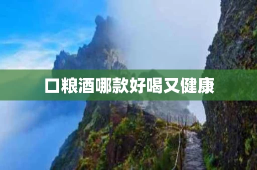 口粮酒哪款好喝又健康