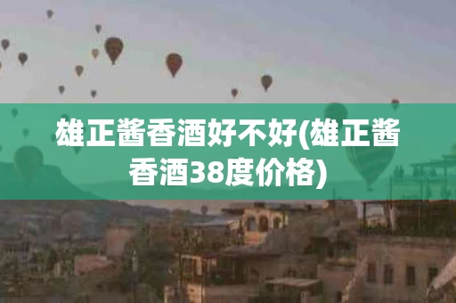 雄正酱香酒好不好(雄正酱香酒38度价格)
