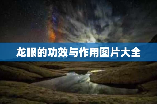 龙眼的功效与作用图片大全