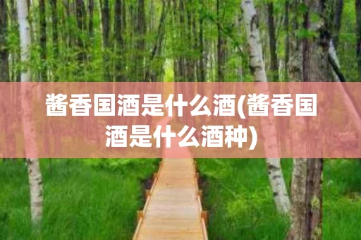 酱香国酒是什么酒(酱香国酒是什么酒种)