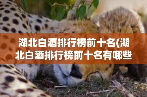 湖北白酒排行榜前十名(湖北白酒排行榜前十名有哪些)
