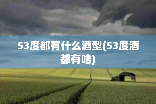 53度都有什么酒型(53度酒都有啥)