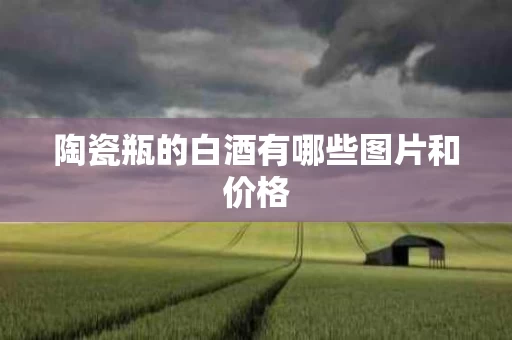 陶瓷瓶的白酒有哪些图片和价格