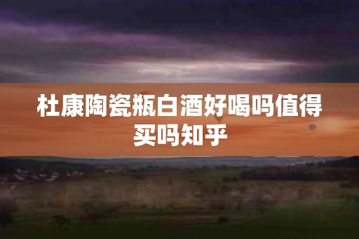 杜康陶瓷瓶白酒好喝吗值得买吗知乎