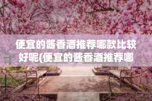 便宜的酱香酒推荐哪款比较好呢(便宜的酱香酒推荐哪款比较好呢女士)