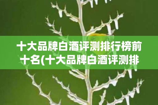 十大品牌白酒评测排行榜前十名(十大品牌白酒评测排行榜前十名图片)