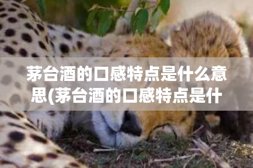 茅台酒的口感特点是什么意思(茅台酒的口感特点是什么意思呀)