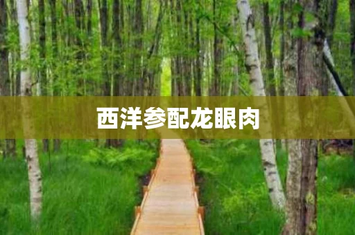 西洋参配龙眼肉