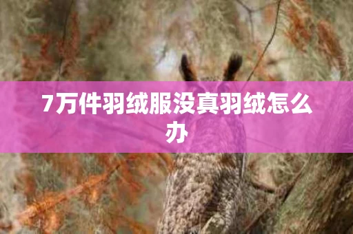 7万件羽绒服没真羽绒怎么办