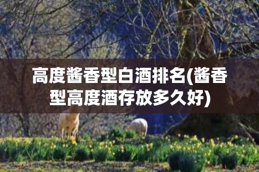 高度酱香型白酒排名(酱香型高度酒存放多久好)
