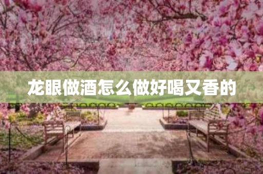 龙眼做酒怎么做好喝又香的