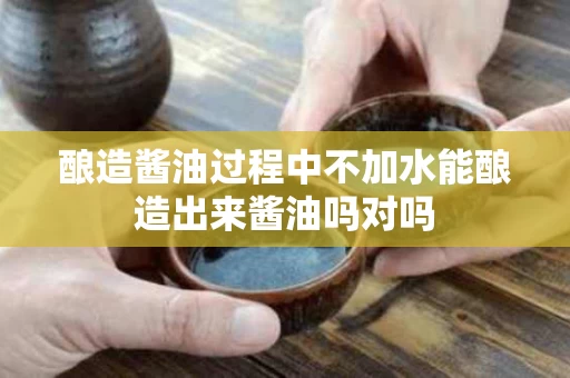 酿造酱油过程中不加水能酿造出来酱油吗对吗
