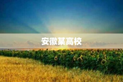 安徽某高校