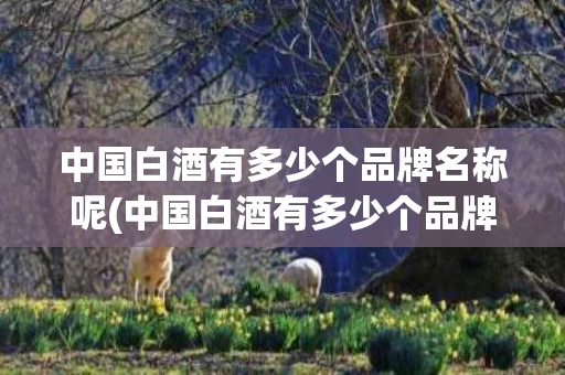 中国白酒有多少个品牌名称呢(中国白酒有多少个品牌名称呢图片)