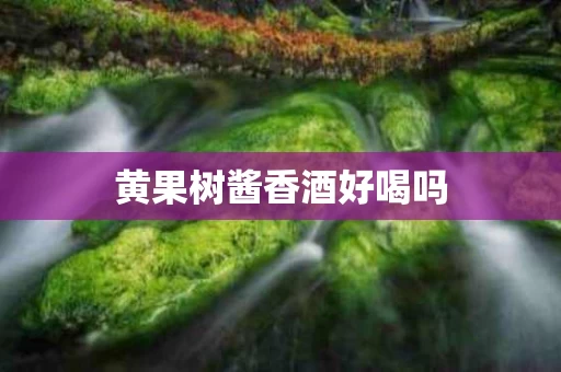 黄果树酱香酒好喝吗