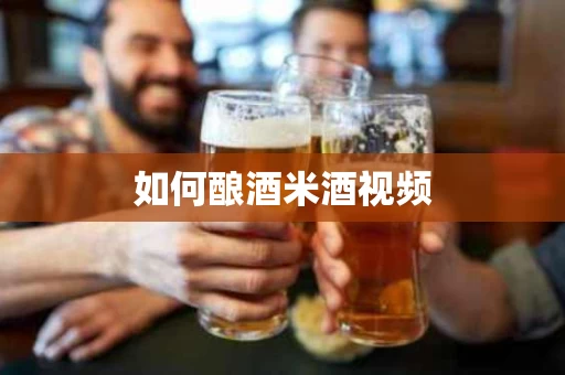 如何酿酒米酒视频