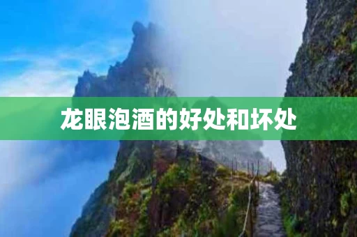 龙眼泡酒的好处和坏处