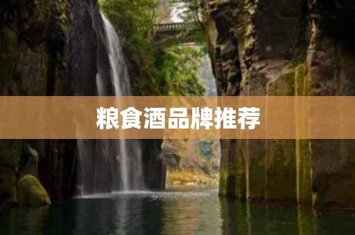 粮食酒品牌推荐