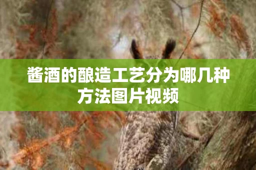 酱酒的酿造工艺分为哪几种方法图片视频