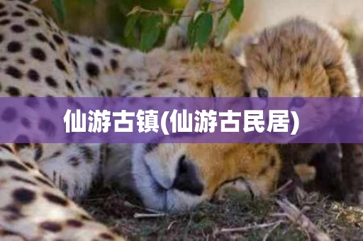 仙游古镇(仙游古民居)