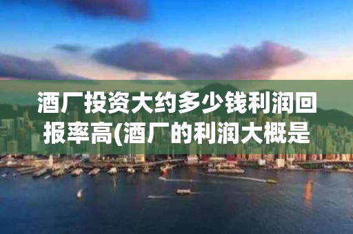 酒厂投资大约多少钱利润回报率高(酒厂的利润大概是多少)