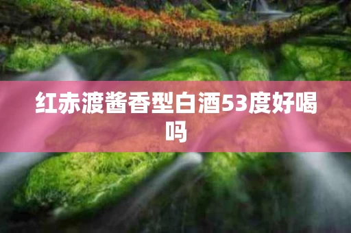 红赤渡酱香型白酒53度好喝吗