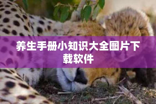 养生手册小知识大全图片下载软件