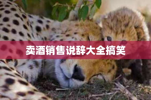 卖酒销售说辞大全搞笑